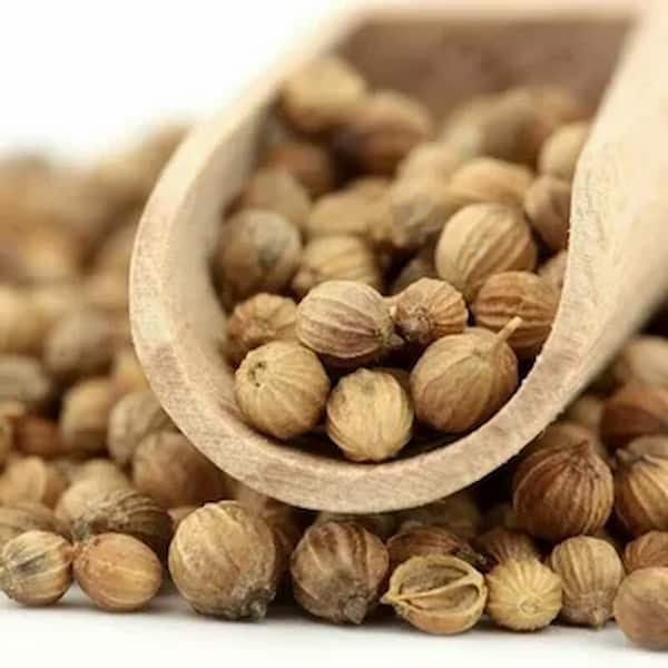 تصویر 2 از قیمت خرید تخم گشنیز ادویه با فروش عمده